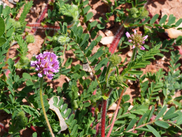 In Algarve, Portugal.