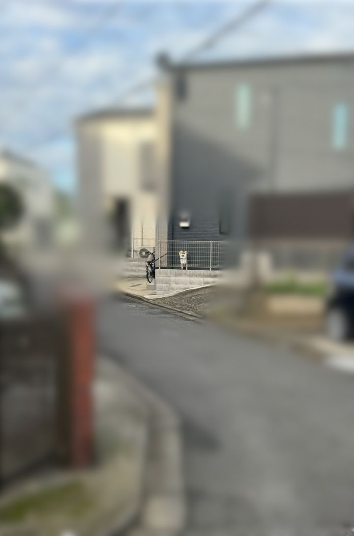 柴犬らしきものを捉えた住宅街の写真（ハフポストが一部加工しています）