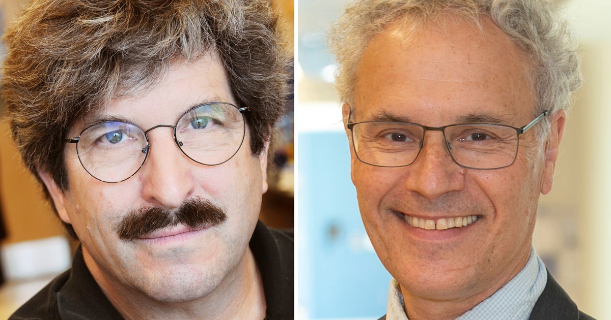 Nobel Prize In Medicine Honors American Duo For Their Discovery Of MicroRNA Nobel Prize In Medicine Honors American Duo For Their Discovery Of MicroRNA