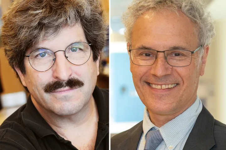 Nobel Prize In Medicine Honors American Duo For Their Discovery Of MicroRNA (huffpost.com)