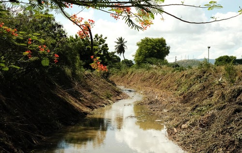A muddy canal that overfilled with water during the last major hurricane, in what locals here in Salinas, Puerto Rico, believe is a consequence of the recent large-scale solar farms built next door.