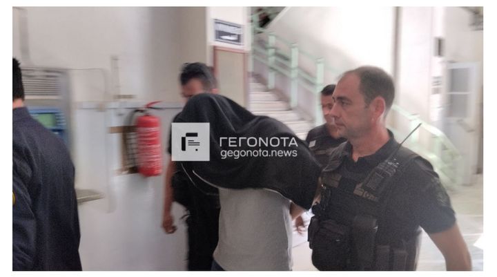 Προφυλακίστηκε ο 31χρονος «serial killer» αδέσποτων στο Βόλο.