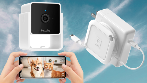 A pet camera and laptop cord organizer