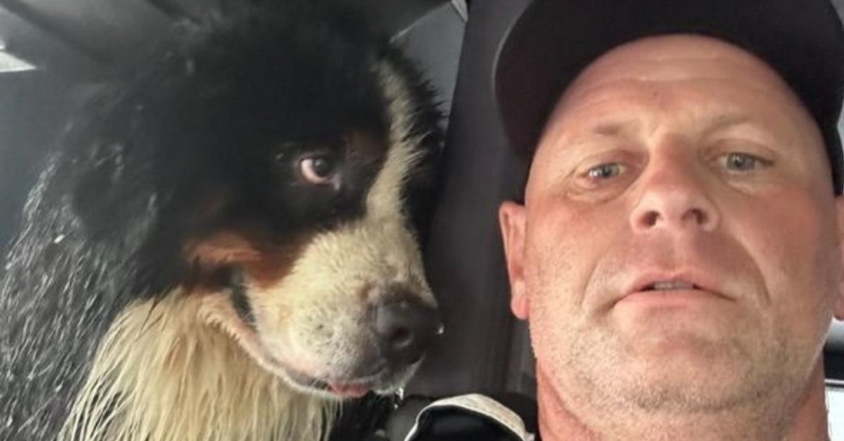 Dog's Eyes 'Say It All' After Firefighter Saves Him From Hurricane Flooding
