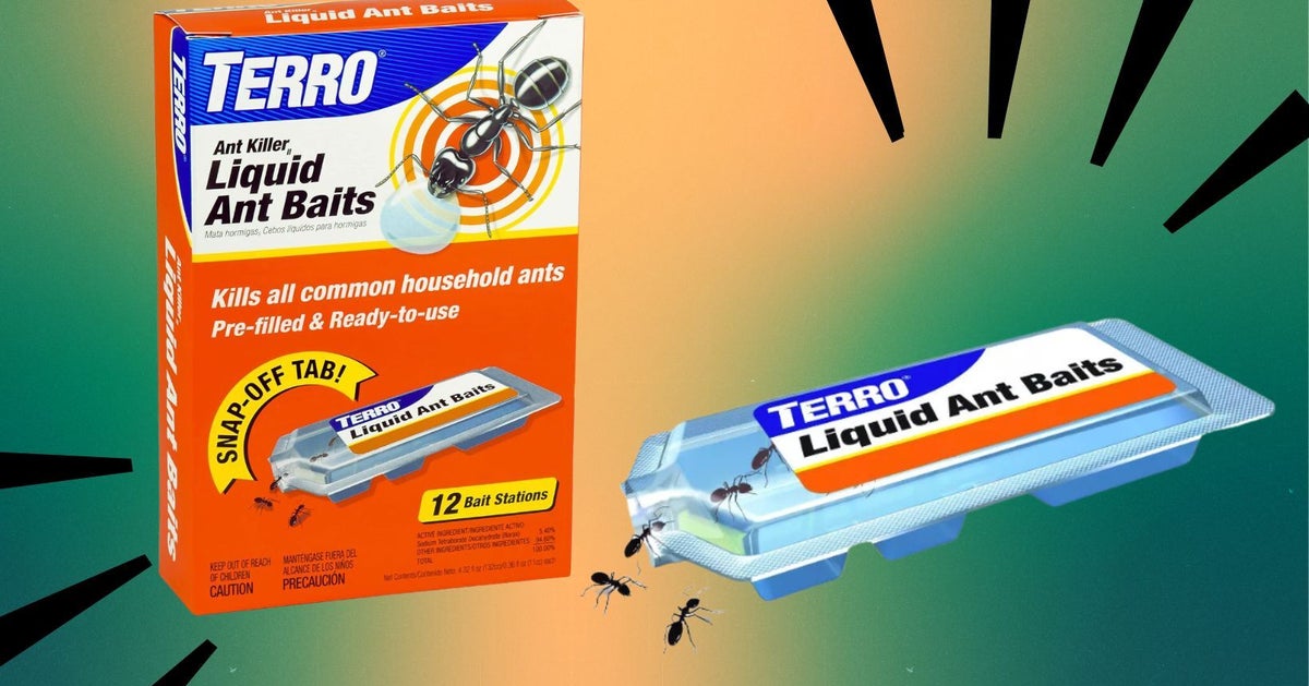 NextImg:This Ant Trap Has Been Reviewed Over 167,000 Times. Here’s Why People Are Obsessed.