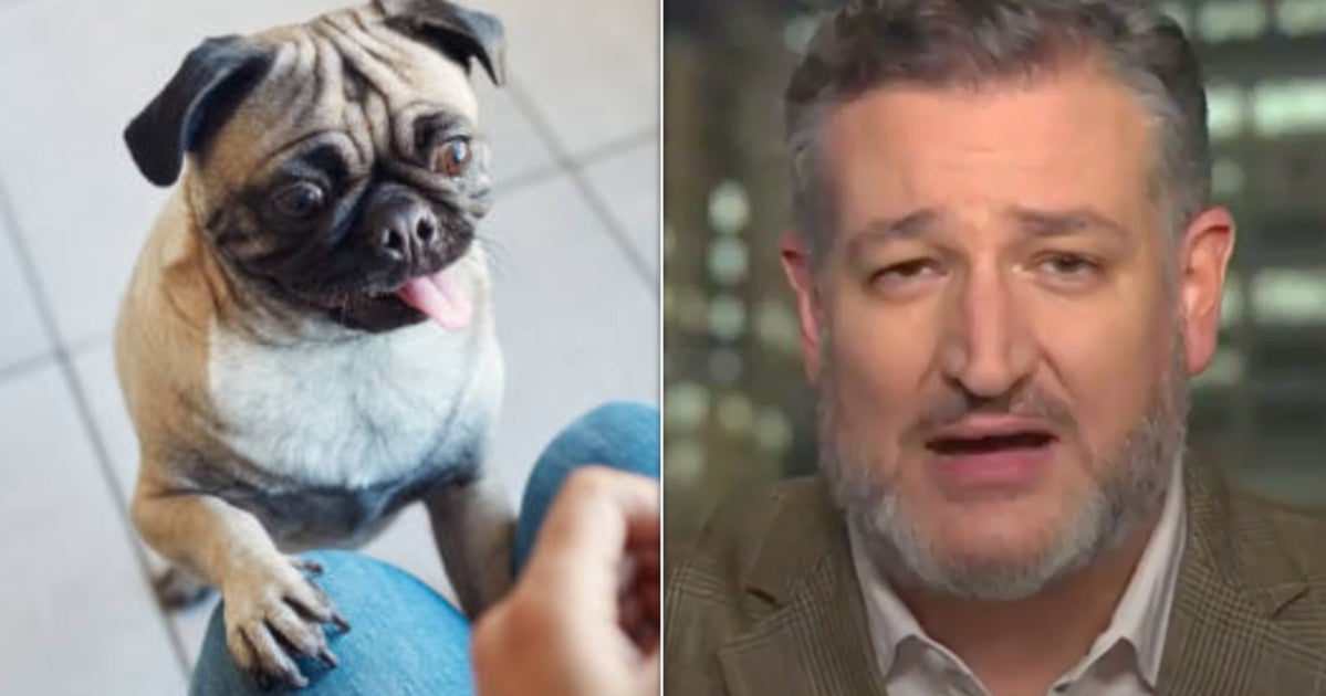 Ted Cruz May Have Just Set Some Kind Of Record Begging For Donations On Fox News