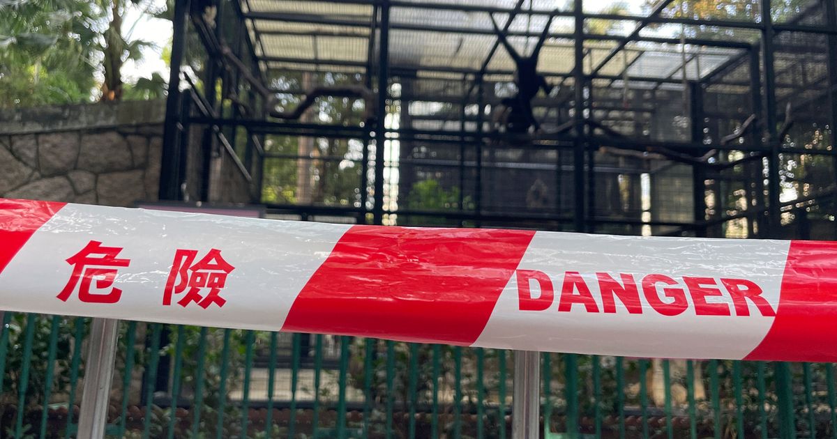 Mystery As 9 Monkeys Die In 2 Days At Hong Kong Zoo