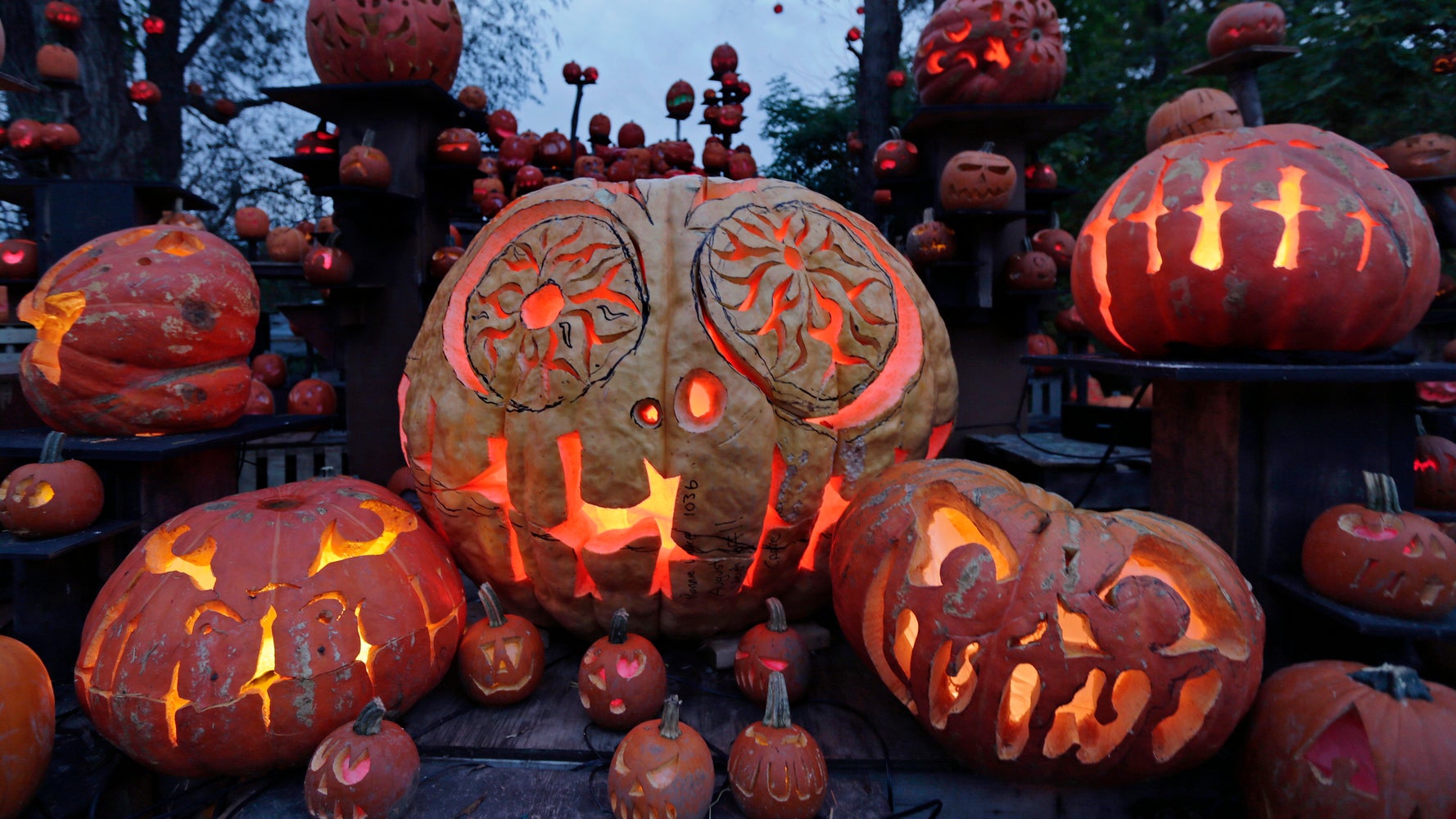 ハロウィン Jack-o'-lantern Abalone DA-11BL 670e6b9526000033006d0085.jpeg?