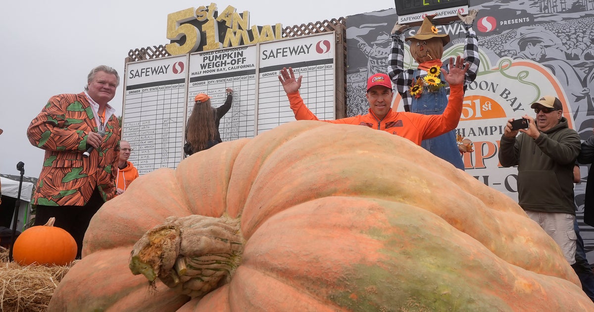 Minnesota Teacher's Massive Pumpkin Wins California Contest