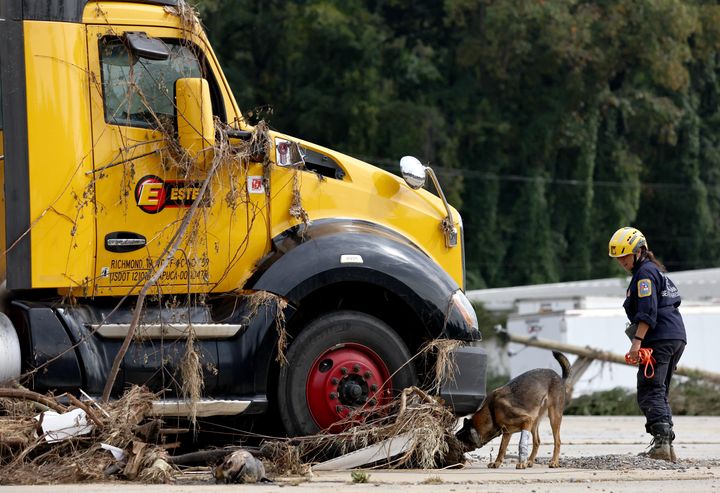 Ein FEMA-Mitarbeiter setzt nach dem Hurrikan Helen in Asheville, North Carolina, Suchhunde ein.