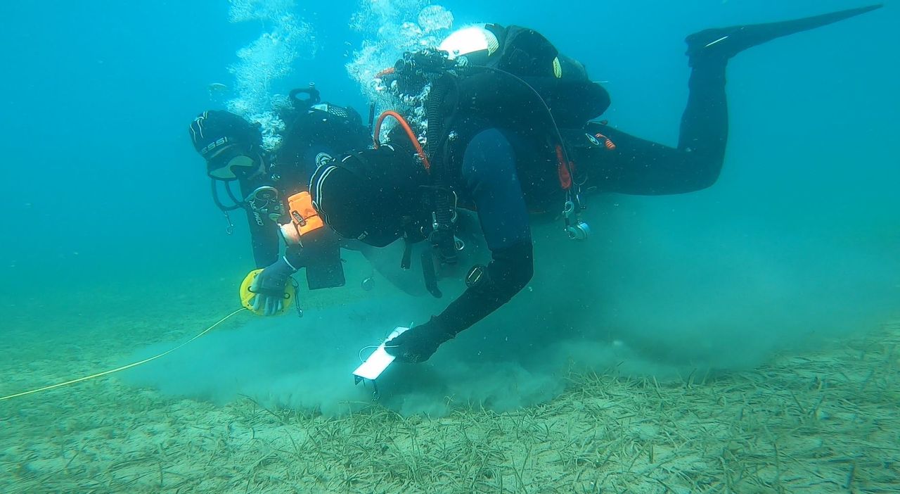 Δύτες της Aegean Rebreath χαρτογραφούν τα Λιβάδια της Ποσειδωνίας στον όρμο του Πόρτο Ράφτη.