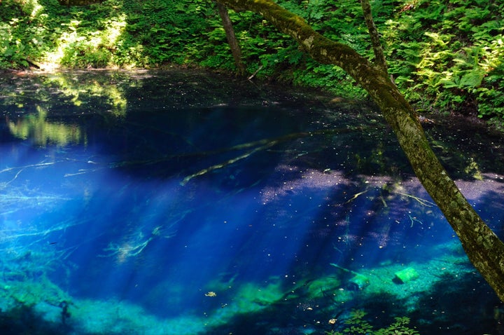 青池（あおいけ）。白神山地の一角にある33の湖の総称である「十二湖（じゅうにこ）」の一つ。透明度が極めて高く、光が当たるとエメラルドブルーに輝く。その神秘的な光景は感性に訴えかけてくる