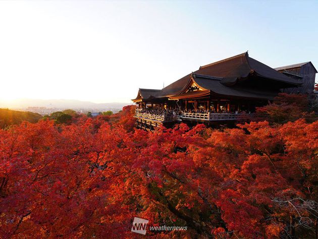 清水寺の紅葉 2023年の様子