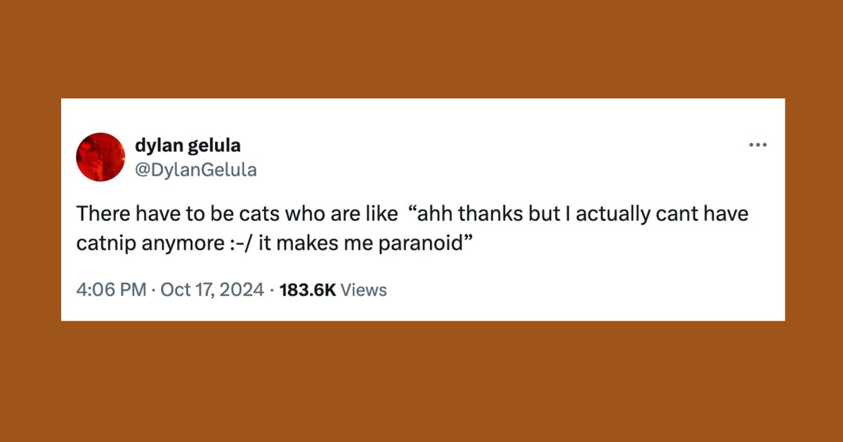 21 Of The Funniest Tweets About Cats And Dogs This Week (Oct. 12-18)