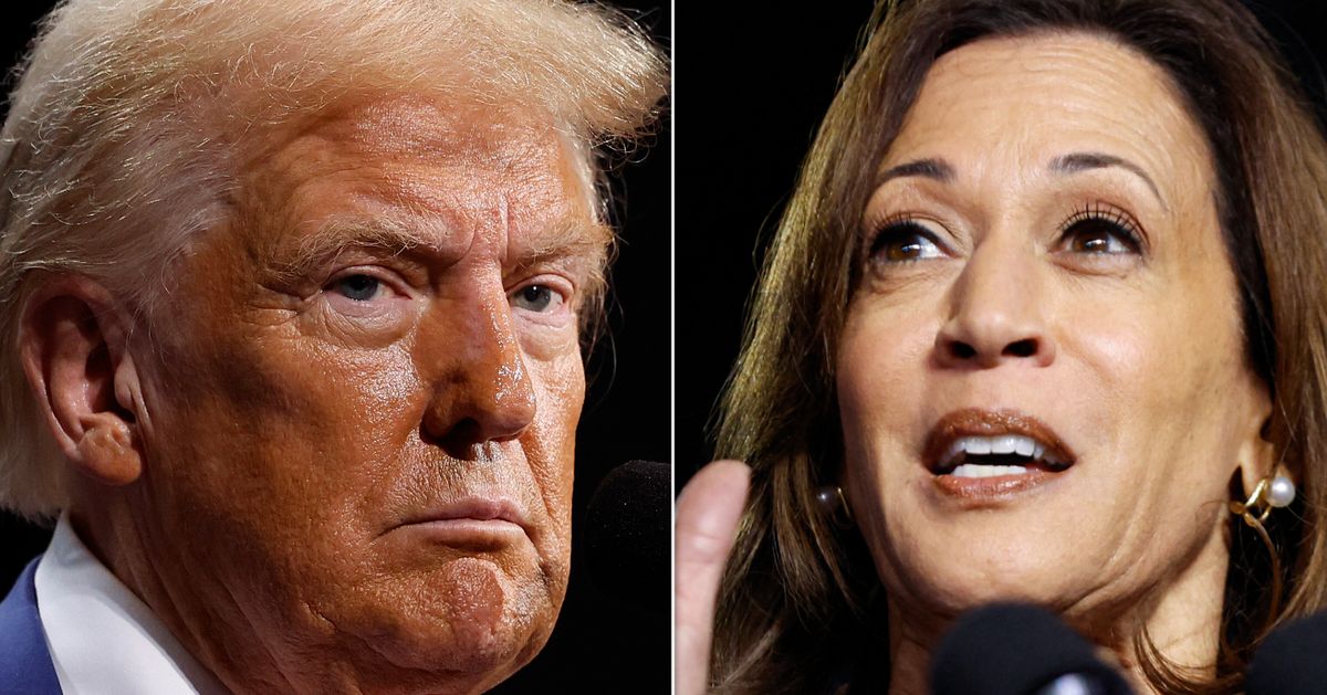 Kamala Harris Reacts To Donald Trump's 'Father Of IVF' Remark