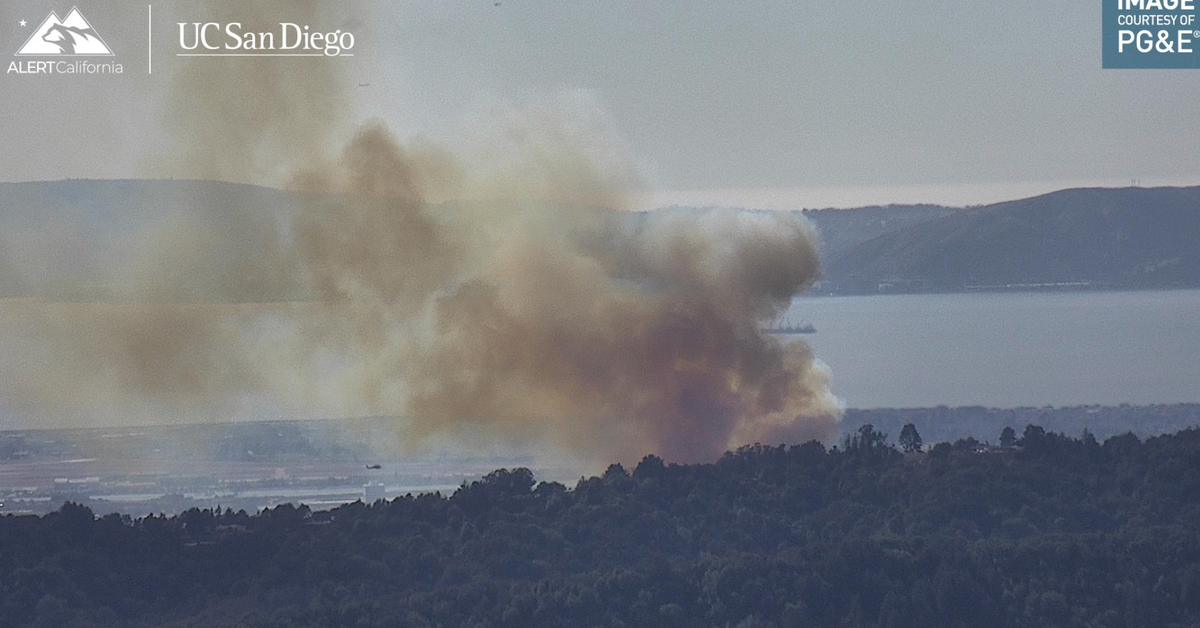 Fast-Moving Brush Fire In Oakland Prompts Evacuations Amid California 'Diablo Winds'