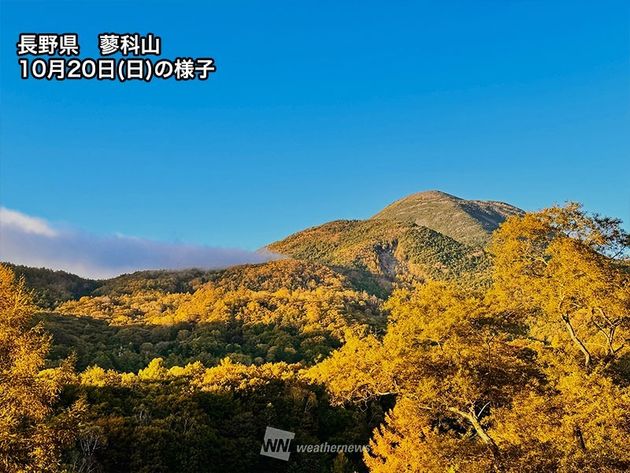 長野県 蓼科山 紅葉の様子