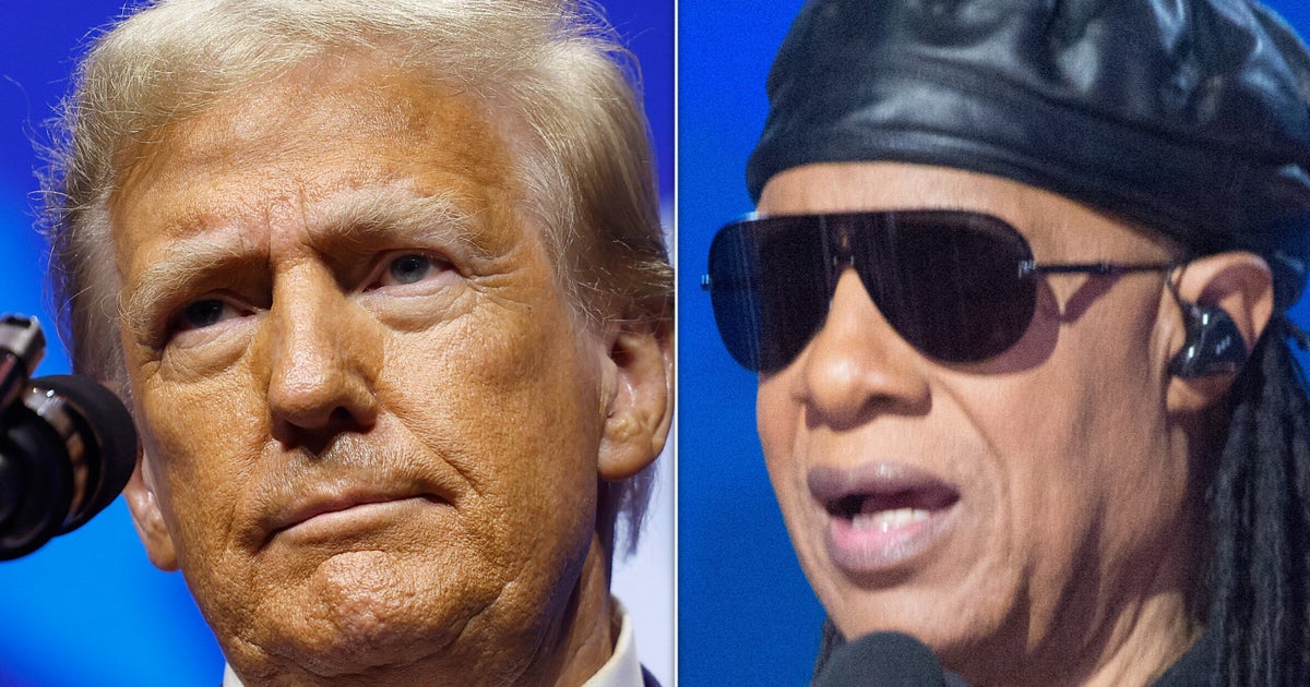 NextImg:Stevie Wonder Expertly Calls Out Donald Trump For Insulting Detroit