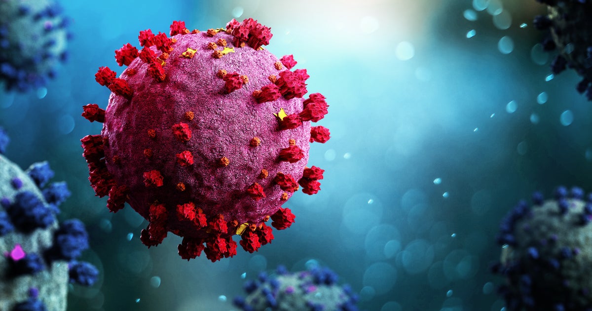 COVID XEC Symptoms What You Need to Know About The New Virus Strain