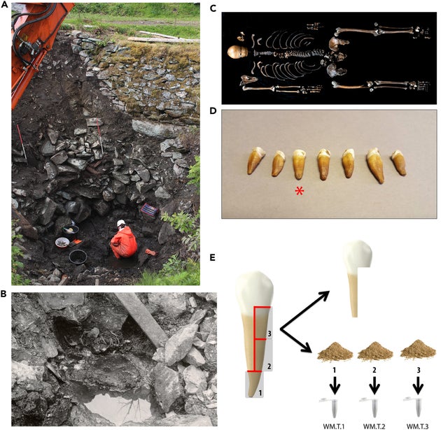 Ανασκαφή και δειγματοληψία σκελετικών λειψάνων από τον 