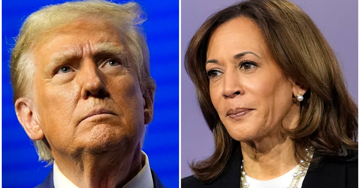 NextImg:Why Trump’s Latest Attack On Kamala Harris Is Working With His Base