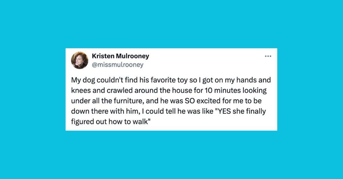 NextImg:20 Of The Funniest Tweets About Cats And Dogs This Week