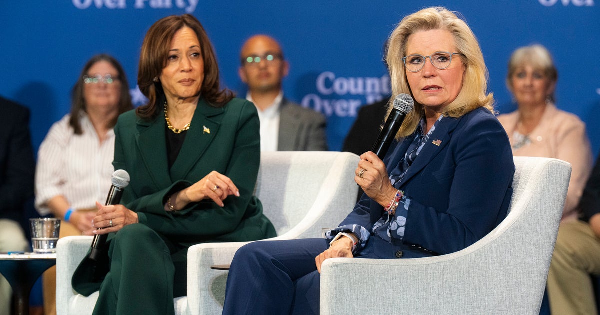NextImg:'Pro-Life' Liz Cheney Urges People To Vote For Harris For 'Life-Saving' Health Care