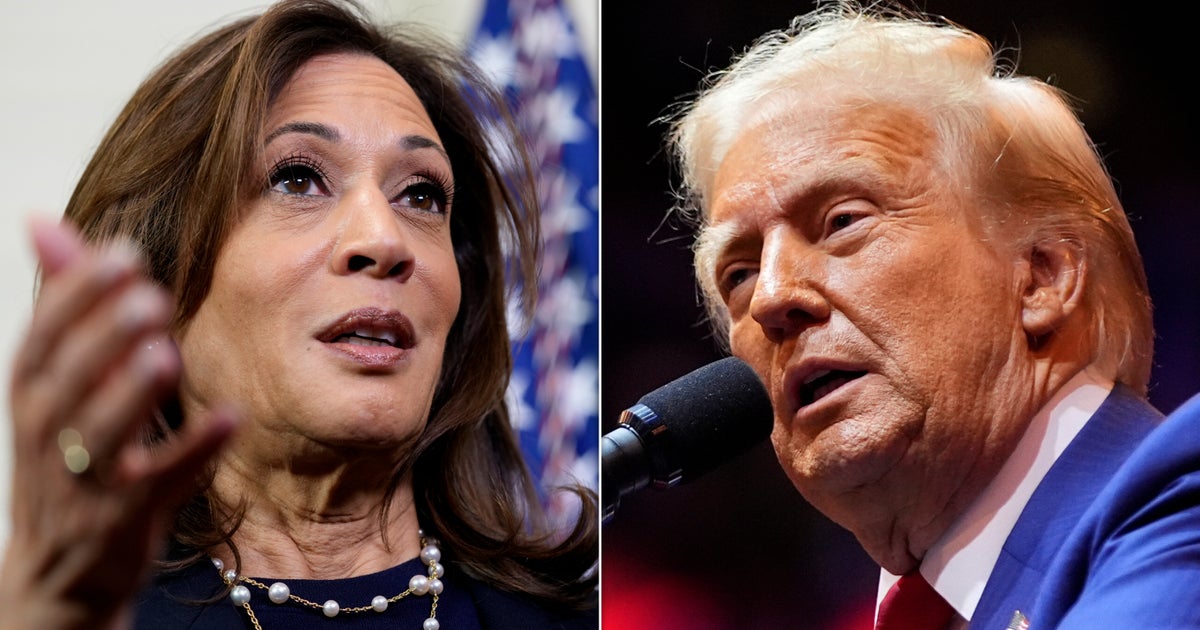 NextImg:Here's What To Watch In The Final Full Week Of The Presidential Campaign