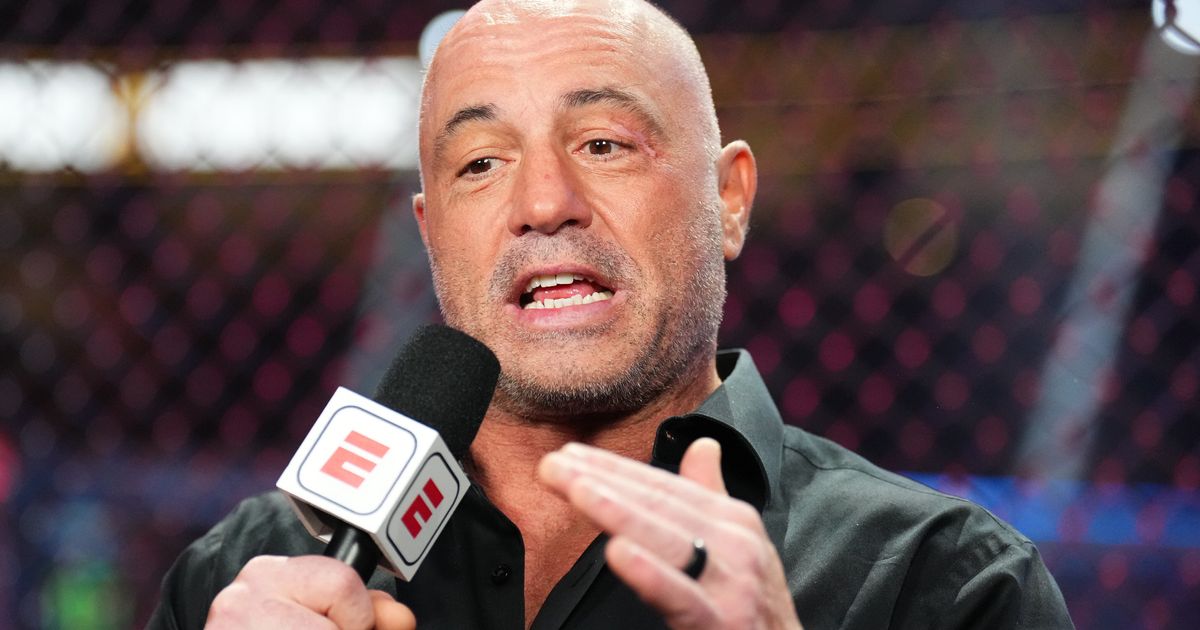 Joe Rogan Explains Why Kamala Harris Interview Hasn't Happened Yet