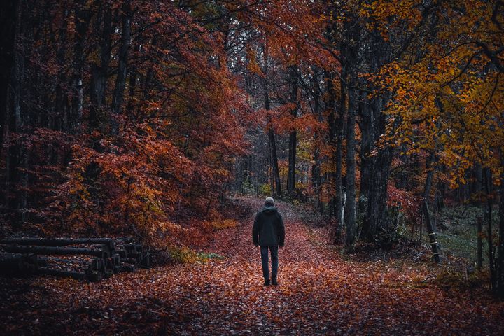 People are drawn to dark tourism for a variety of reasons, including an interest in history or a personal connection. 