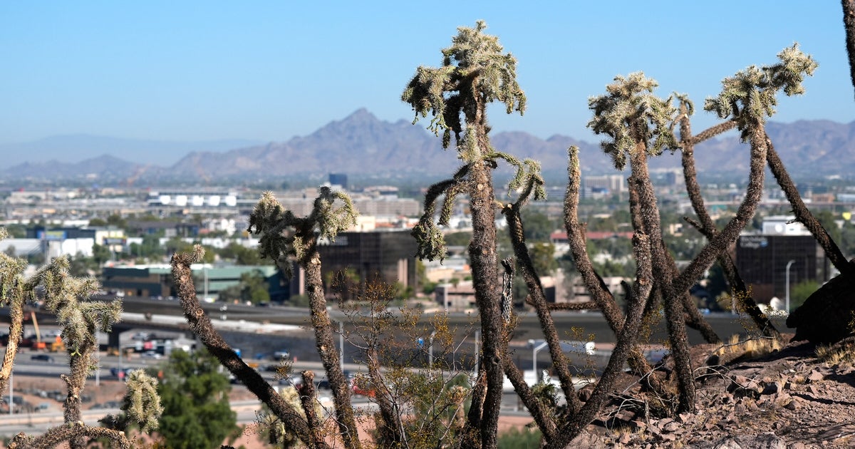 NextImg:We May Not Know The Next President On Election Day. This Arizona Swing County Could Be Why.