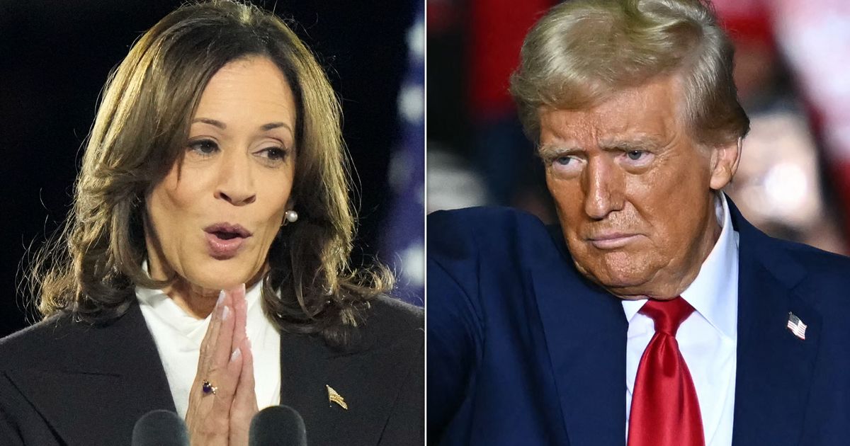 Kamala Harris Is Asked A Cheeky Question: 'How Often Do You Say... F**k Donald Trump?'