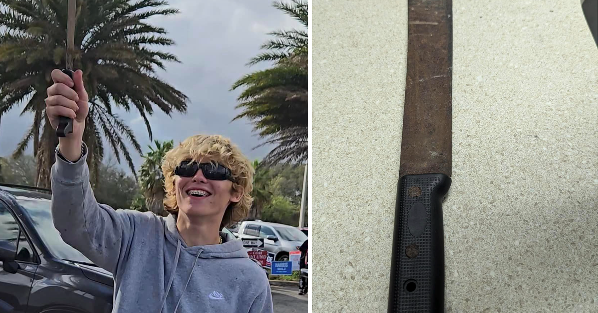 NextImg:Teen Armed With Machete Arrested Among Group Accused Of Intimidating Harris Supporters