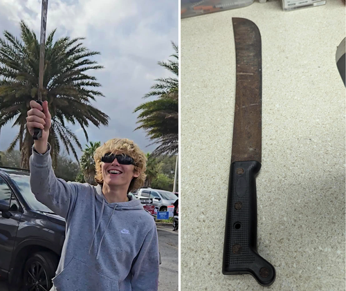 Caleb James Williams, 18, is accused of waving this machete at people outside of an early voting site near Jacksonville, Florida, on Tuesday.
