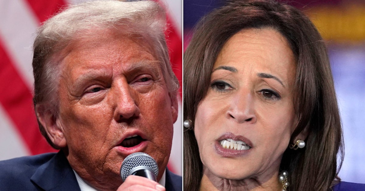 GOP Pollster Reveals How This Year's Election Reminds Him 'So Much Of 2016'