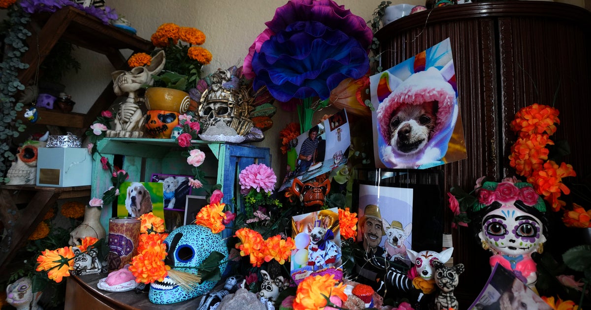 NextImg:Pets Join Mexico's Day Of The Dead Celebrations