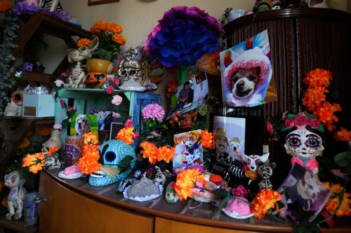 During Mexico's famed Day of the Dead celebrations, even Fido and Tiger get a place at the altars Mexican families set up to honor their deceased loved ones, complete with flowers, candles and photographs.