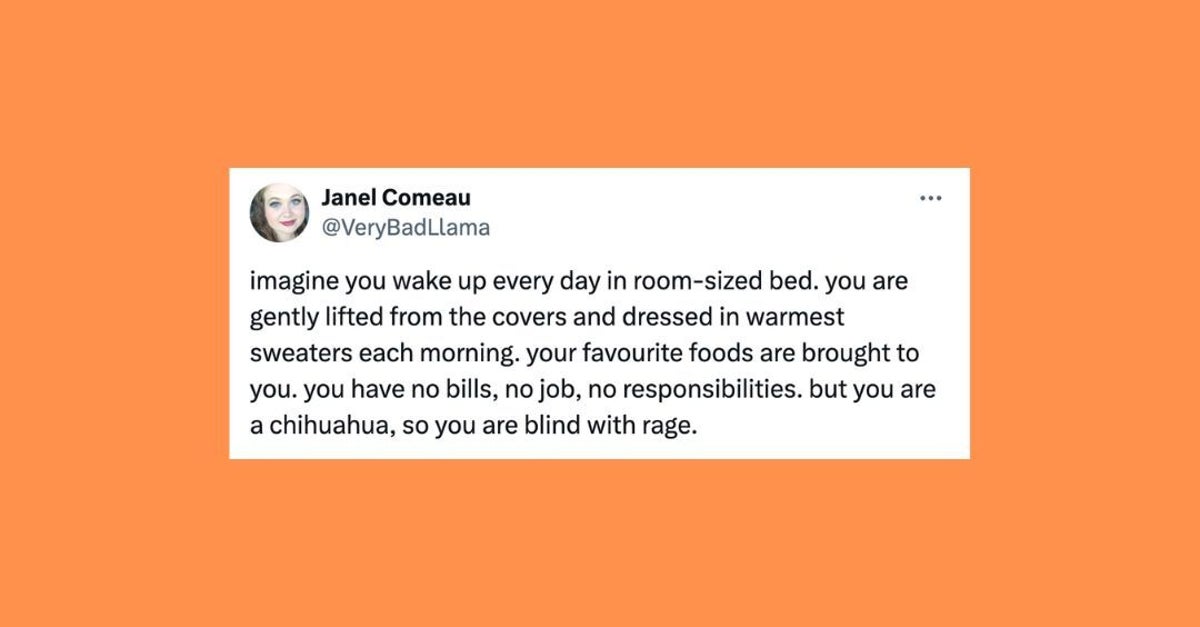 NextImg:28 Of The Funniest Tweets About Cats And Dogs This Week