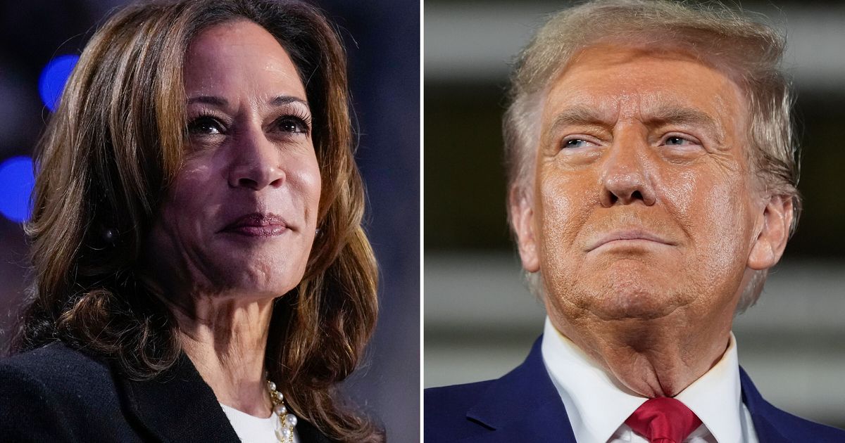 Kamala Harris On Course To Win US Election, According To British Pollsters