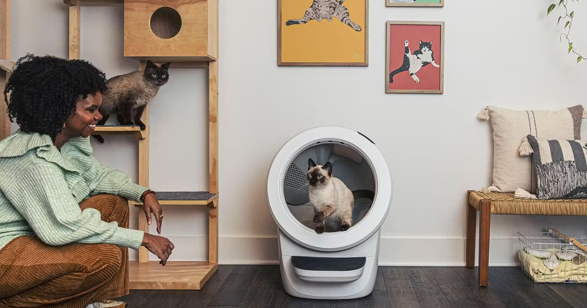 Automatic Cat LitterRobot Review From MultiCat Household HuffPost