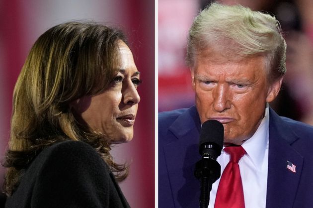 US Election: Which Celebrities Have Endorsed Kamala Harris And Donald
Trump?