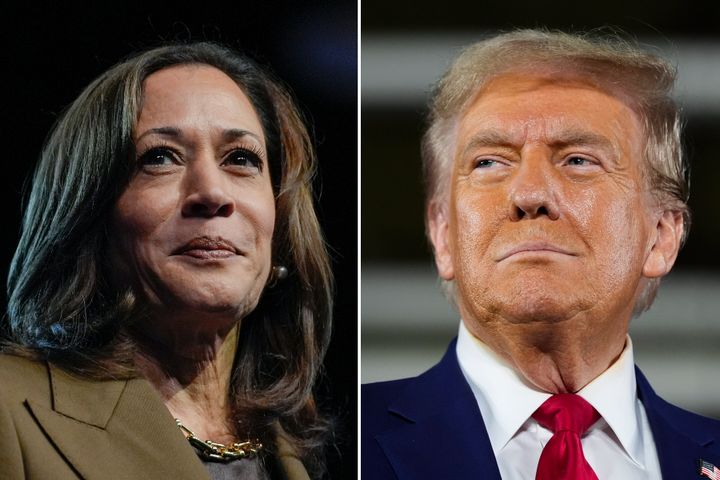 Democratic presidential nominee Vice President Kamala Harris and Republican presidential nominee former President Donald Trump 