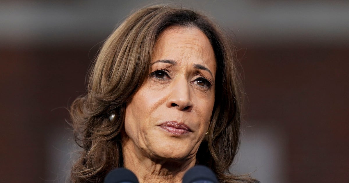 NextImg:GOP Pollster Spots How Harris 'Absolutely' Cost Herself Election Win