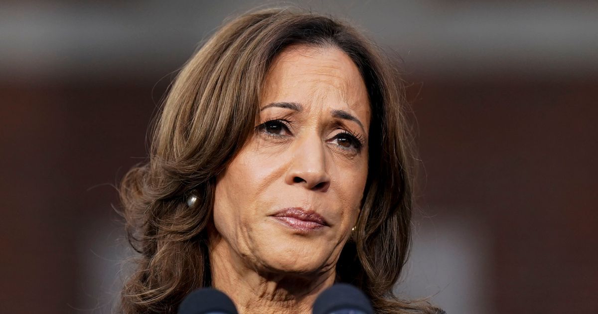 GOP Pollster Spots How Harris 'Absolutely' Cost Herself Election Win