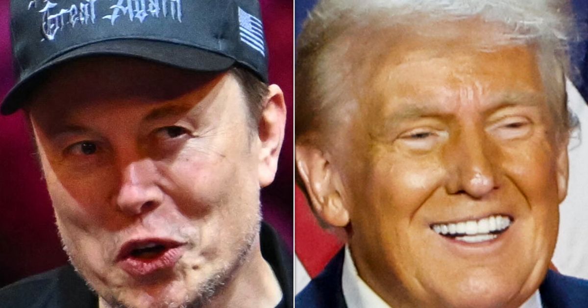 Elon Musk Explains What He Thinks Convinced Americans Trump Is Just A 'Normal Person'