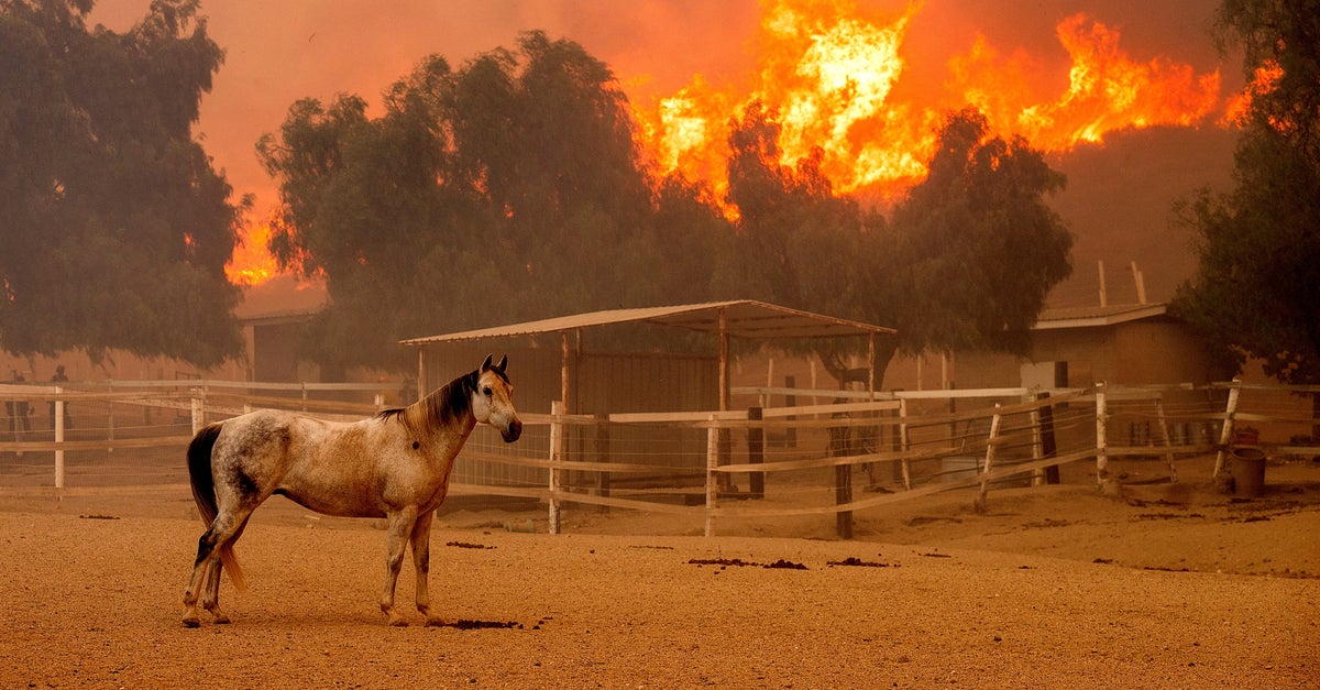 2024 Is 'Virtually Certain' To Be Hottest Year On Record, Climate Agency Says