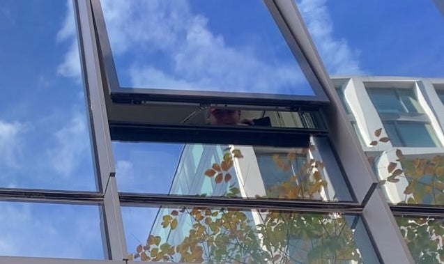 Jan. 6 Defendant Taunts D.C. Locals From Tiny Constructing Window, Awaits Trump Pardon Jan. 6 Defendant Taunts D.C. Locals From Tiny Constructing Window, Awaits Trump Pardon