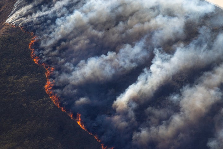 FILLMORE, CALIFORNIA - NOVEMBER 7: The Mountain Fire chews through the landscape on November 7, 2024 near Fillmore, California. Pushed by strong Santa Ana winds, the fire has incinerated more than 20,000 acres of chaparral habitat and burned more than 90 homes. (Photo by David McNew/Getty Images)