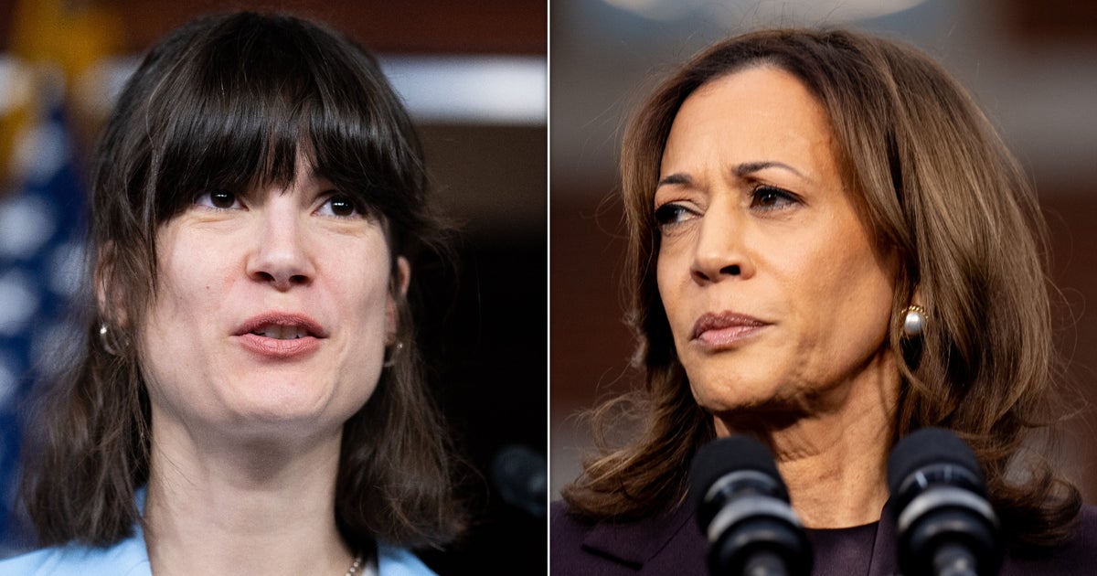 NextImg:House Democrat Slams Party's Lack Of Reflection In Days Since Loss To Trump