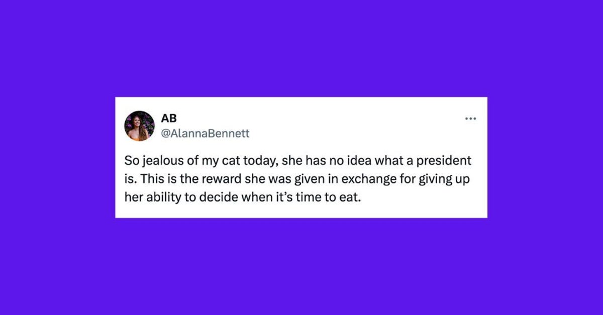 NextImg:23 Of The Funniest Tweets About Cats And Dogs This Week